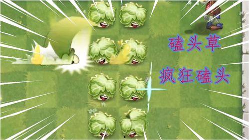 龙年新植物爆料视频,揭秘神秘龙年植物家族的绿色传奇