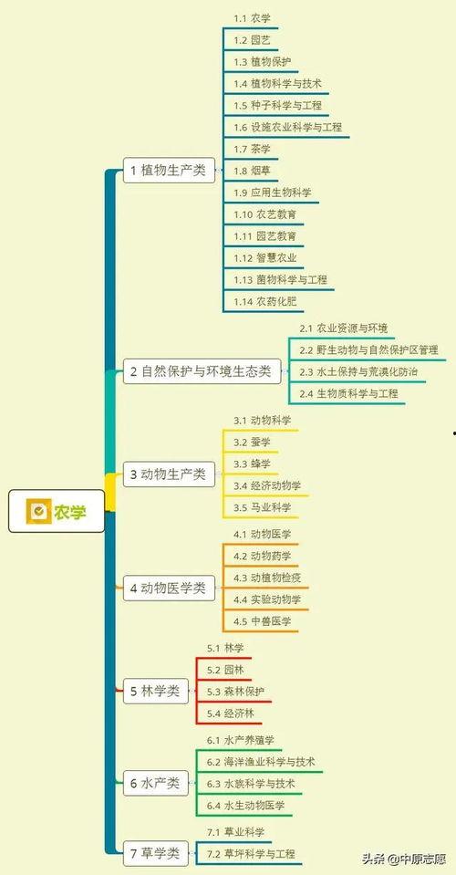 泰国华侨爆料视频大全集,揭秘异国他乡的华侨生活与挑战 第3张 泰国华侨爆料视频大全集,揭秘异国他乡的华侨生活与挑战 第3张
