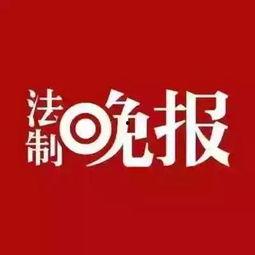 仙鱼最新爆料新闻,最新仙鱼爆料新闻深度解析  第1张