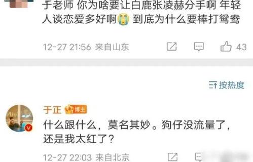 直播爆料白鹿事件视频在线观看,视频在线观看，揭秘真相瞬间