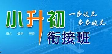 茂名小升初爆料新闻,内幕揭秘,家长焦虑背后的真相 第1张 茂名小升初爆料新闻,内幕揭秘,家长焦虑背后的真相 第1张