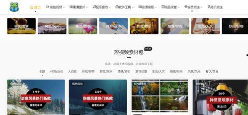 爆料风格视频素材库,独家视频素材库深度解析  第1张